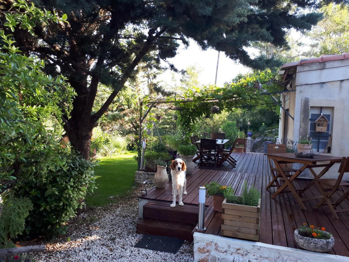 Bed and Breakfast Chez Patricia & Denis Flassans-sur-Issole Екстер'єр фото
